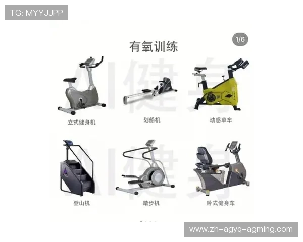 健身器材名称大全及各类训练目标系统说明