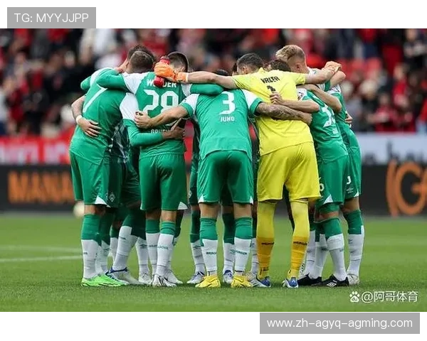 德甲俱乐部最新身价排行榜：球队估值变化趋势