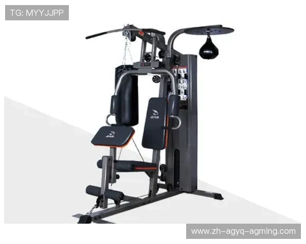 臂部训练必备健身器材全梳理