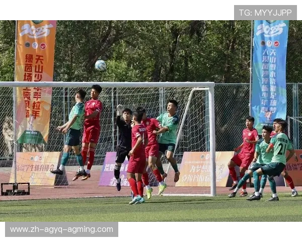 查看最新动态中国青少年足球联赛赛事工作会议圆满落幕